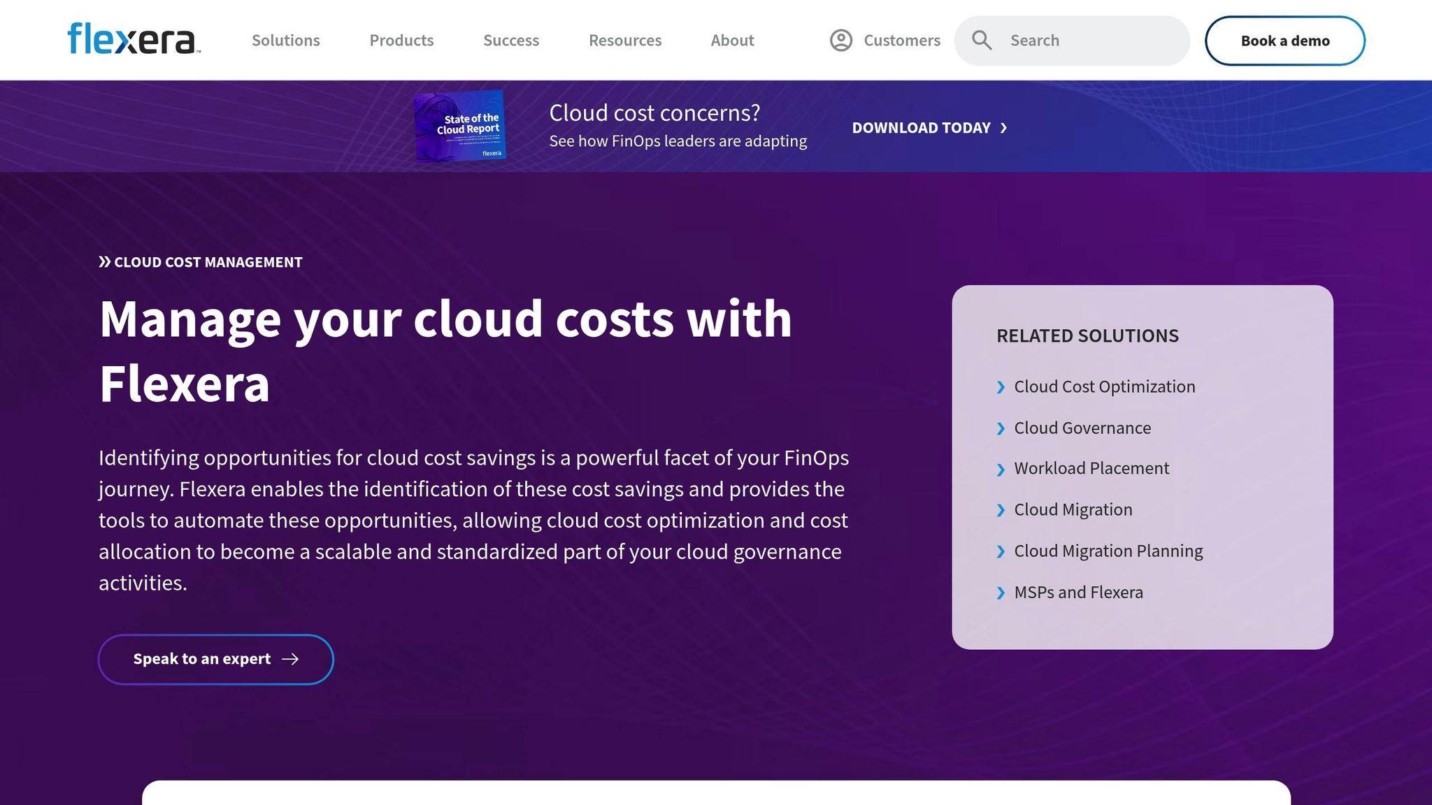 Flexera Cloud Cost Management
