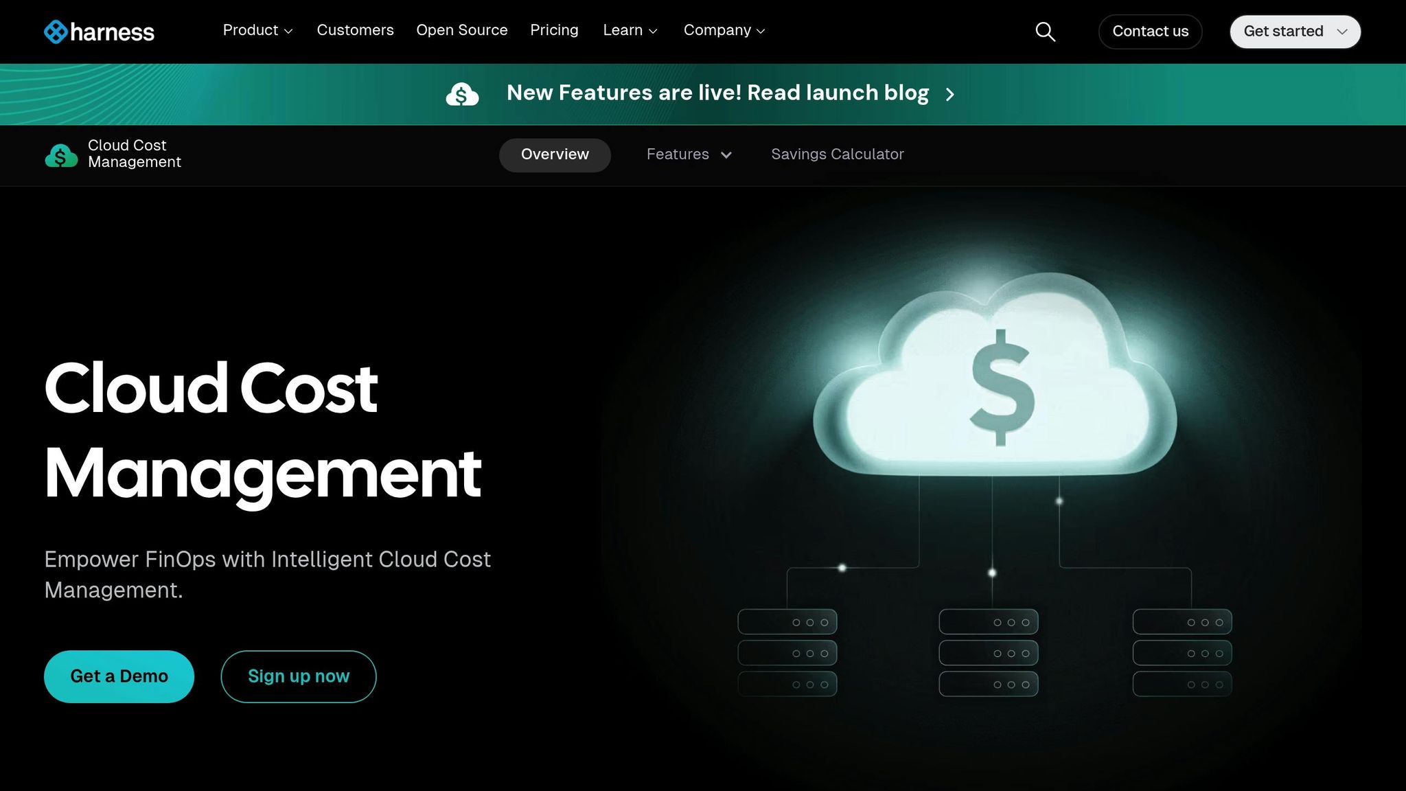 Harness Cloud Cost Management