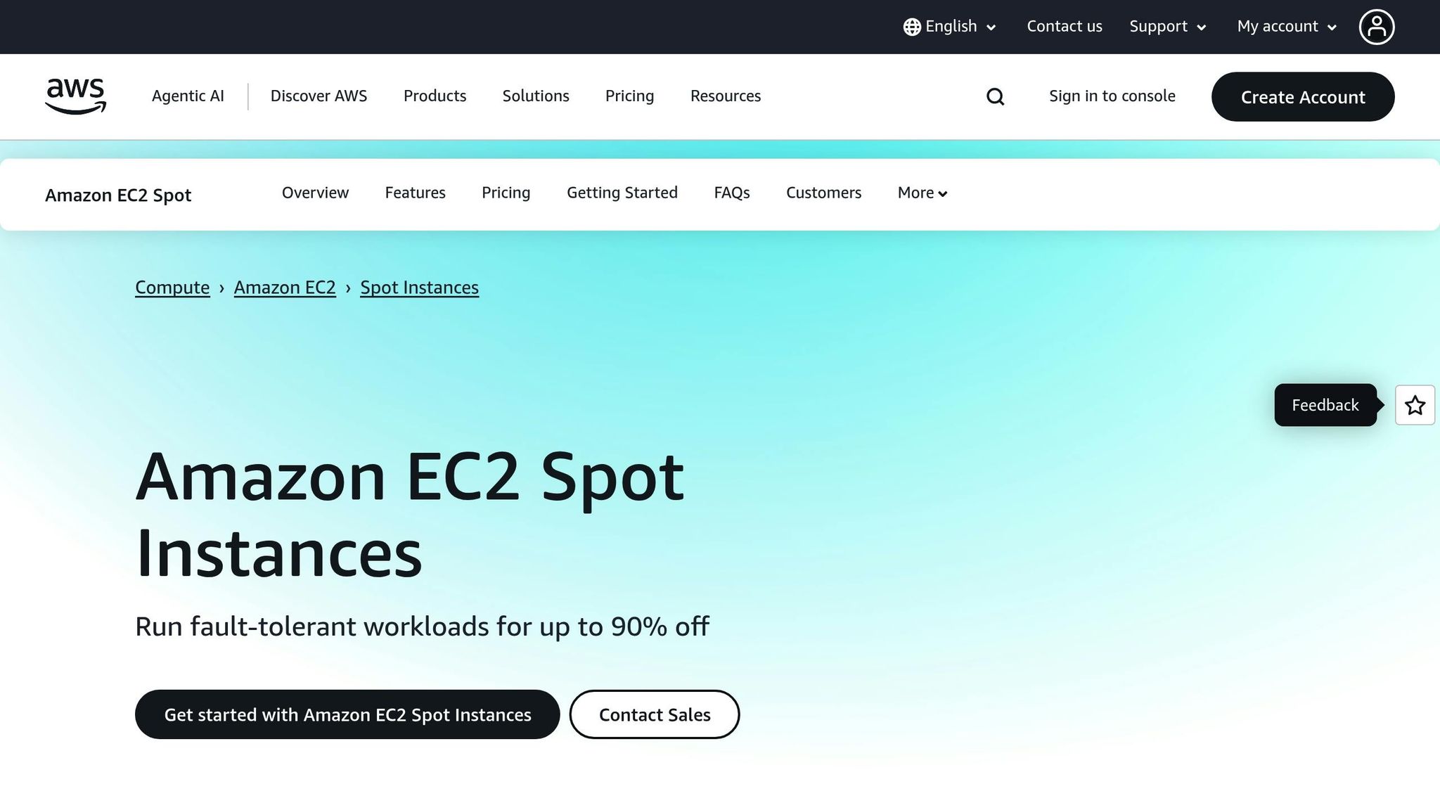 AWS Spot Instances